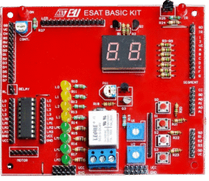 ESAT BASIC KIT Multipurpose Evaluation Board for Development