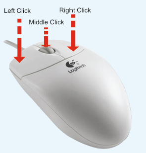 mouse image